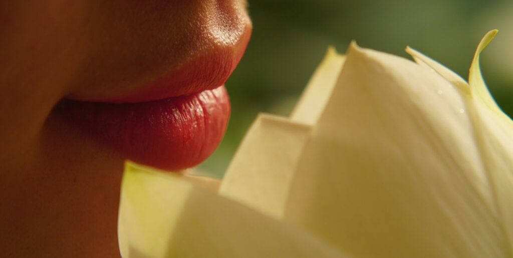 Twoje usta mogą być zawsze piękne – odkryj domowe metody ich pielęgnacji!