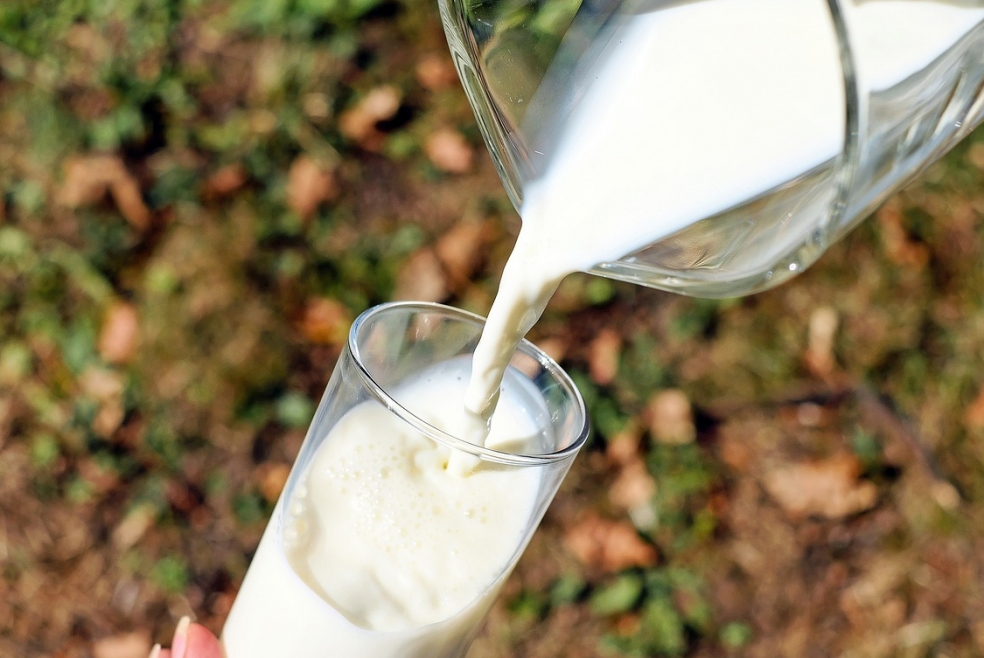 Atrakcyjność mleka migdałowego dla dzieci i dorosłych – charakterystyka, zawartość kalorii, zastosowanie, metoda przygotowania